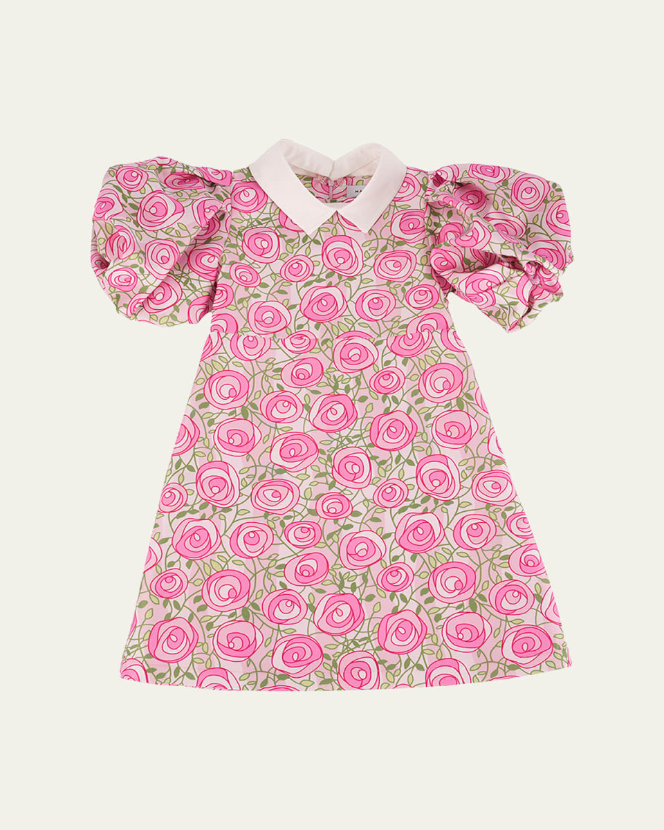 Girl's Rose-Print Balloon Sleeve Dress, Size 3T